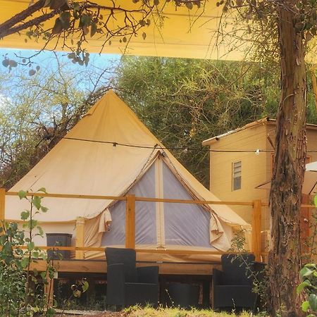 Glamping Dunas Del Sol ซานเปโดร เด อาตากามา ภายนอก รูปภาพ